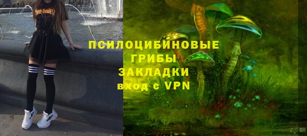 герыч Арсеньев