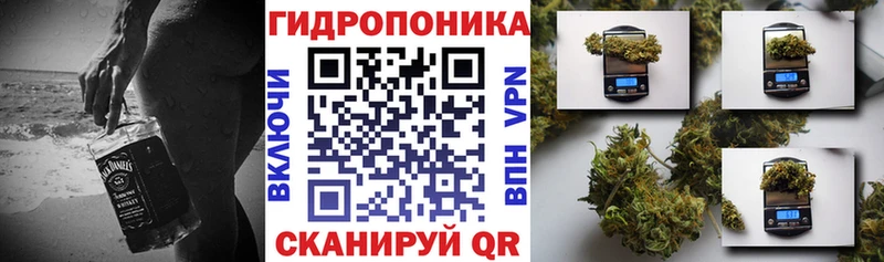 где продают наркотики  Учалы  Конопля семена 